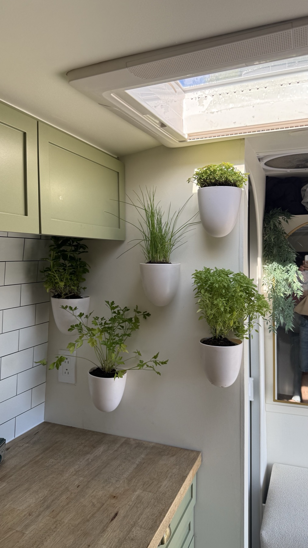 Herb wall and skylight inside the finished van